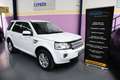 Land Rover Freelander 2.2SD4 SE Dynamic Aut. 4x4 Blanco - thumbnail 1