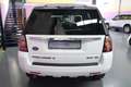 Land Rover Freelander 2.2SD4 SE Dynamic Aut. 4x4 Blanco - thumbnail 6