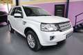 Land Rover Freelander 2.2SD4 SE Dynamic Aut. 4x4 Blanco - thumbnail 3