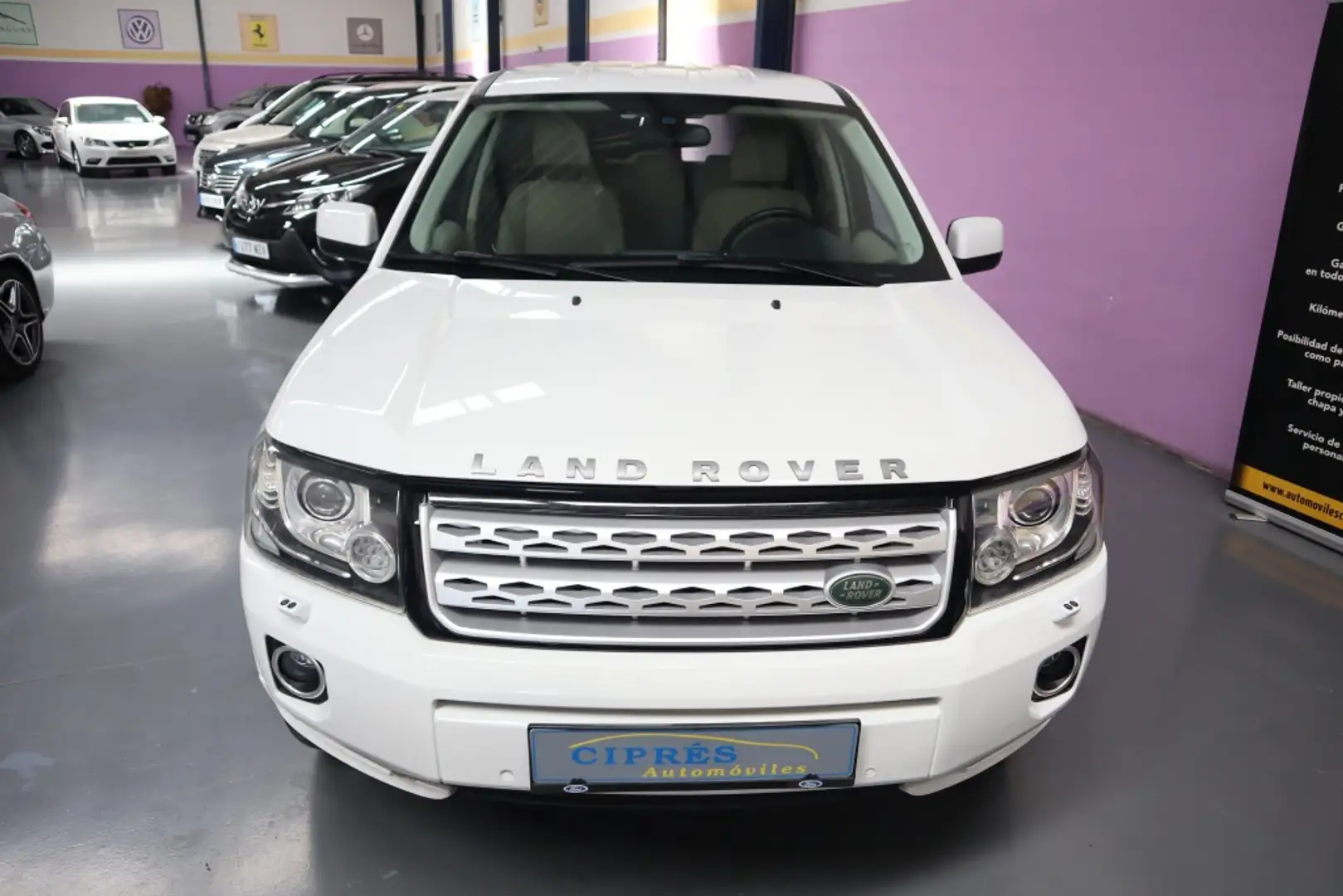 Land Rover Freelander 2.2SD4 SE Dynamic Aut. 4x4 Blanco - 2