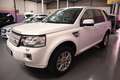 Land Rover Freelander 2.2SD4 SE Dynamic Aut. 4x4 Blanco - thumbnail 4