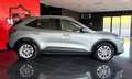 Ford Kuga Kuga 1.5 EcoBlue 120 CV aut. 2WD Titanium Business Grigio - thumbnail 7