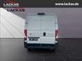Toyota Proace Max L3H2 Meister *Sofor t*Kamera*Tempomat*PCS*15Jahre Garantie Blanco - thumbnail 4