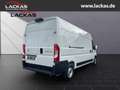 Toyota Proace Max L3H2 Meister *Sofor t*Kamera*Tempomat*PCS*15Jahre Garantie Blanco - thumbnail 5