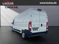 Toyota Proace Max L3H2 Meister *Sofor t*Kamera*Tempomat*PCS*15Jahre Garantie Blanco - thumbnail 3