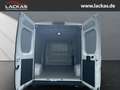 Toyota Proace Max L3H2 Meister *Sofor t*Kamera*Tempomat*PCS*15Jahre Garantie Weiß - thumbnail 19
