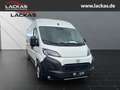 Toyota Proace Max L3H2 Meister *Sofor t*Kamera*Tempomat*PCS*15Jahre Garantie Weiß - thumbnail 7