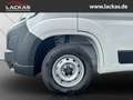 Toyota Proace Max L3H2 Meister *Sofor t*Kamera*Tempomat*PCS*15Jahre Garantie Weiß - thumbnail 21