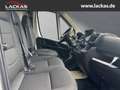 Toyota Proace Max L3H2 Meister *Sofor t*Kamera*Tempomat*PCS*15Jahre Garantie Weiß - thumbnail 18