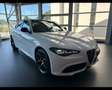 Alfa Romeo Giulia 2.2 Turbodiesel 210 CV AT8 AWD Q4 Tributo Italiano Wit - thumbnail 40