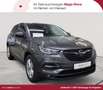 Opel Grandland Grandland X 1.5D Aut.Business Edition Grau - thumbnail 1