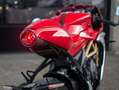 MV Agusta Superveloce 800 Rouge - thumbnail 17