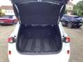 Ford Kuga Plug-In Hybrid ST-Line X Blanc - thumbnail 7
