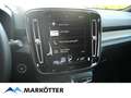 Volvo XC40 T3 R-Design 19''/ACC/AHK/LED/Keyless Weiß - thumbnail 21