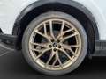 Audi Q4 e-tron 45 S line AHK Matrix LM 21" Weiß - thumbnail 16