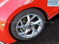 Ford Focus Ford Focus ST 2.0 EcoBlue (EURO 6d-TEMP) Rouge - thumbnail 9