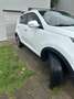 Kia Sportage 1.7 CRDi 2WD Sense ISG EcoDynamics - thumbnail 17