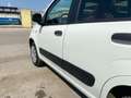 Fiat Panda - thumbnail 9