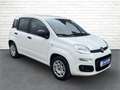 Fiat Panda 1.2 8V Easy *Klima*SHZ*PDC* - thumbnail 4