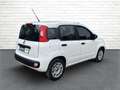 Fiat Panda 1.2 8V Easy *Klima*SHZ*PDC*FSH* - thumbnail 6