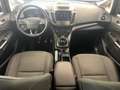 Ford C-Max Titanium 7-Sitzer ALLWETTER NAV SITZ.HZG KEYLESS T Grau - thumbnail 13
