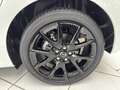 Mazda 2 Mazda2 Hybrid Homura Aut. Weiß - thumbnail 6