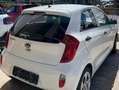 Kia Picanto Picanto 1.0 City 5p my13 Bianco - thumbnail 10