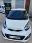 Kia Picanto Picanto 1.0 City 5p my13 Bianco - thumbnail 4