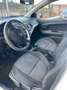Kia Picanto Picanto 1.0 City 5p my13 Bianco - thumbnail 9