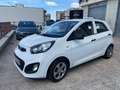 Kia Picanto Picanto 1.0 City 5p my13 Bianco - thumbnail 1