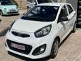 Kia Picanto Picanto 1.0 City 5p my13 Bianco - thumbnail 2