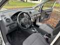 Volkswagen Caddy Kastenwagen Edition 30 1,6 TDI BMT DPF DSG Silber - thumbnail 12