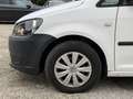 Volkswagen Caddy Caddy Kastenwagen BMT 1,6 TDI Weiß - thumbnail 9