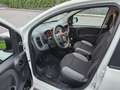 Fiat Panda 1.2 Easy Connect 69cv - thumbnail 7