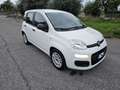 Fiat Panda 1.2 Easy Connect 69cv - thumbnail 1