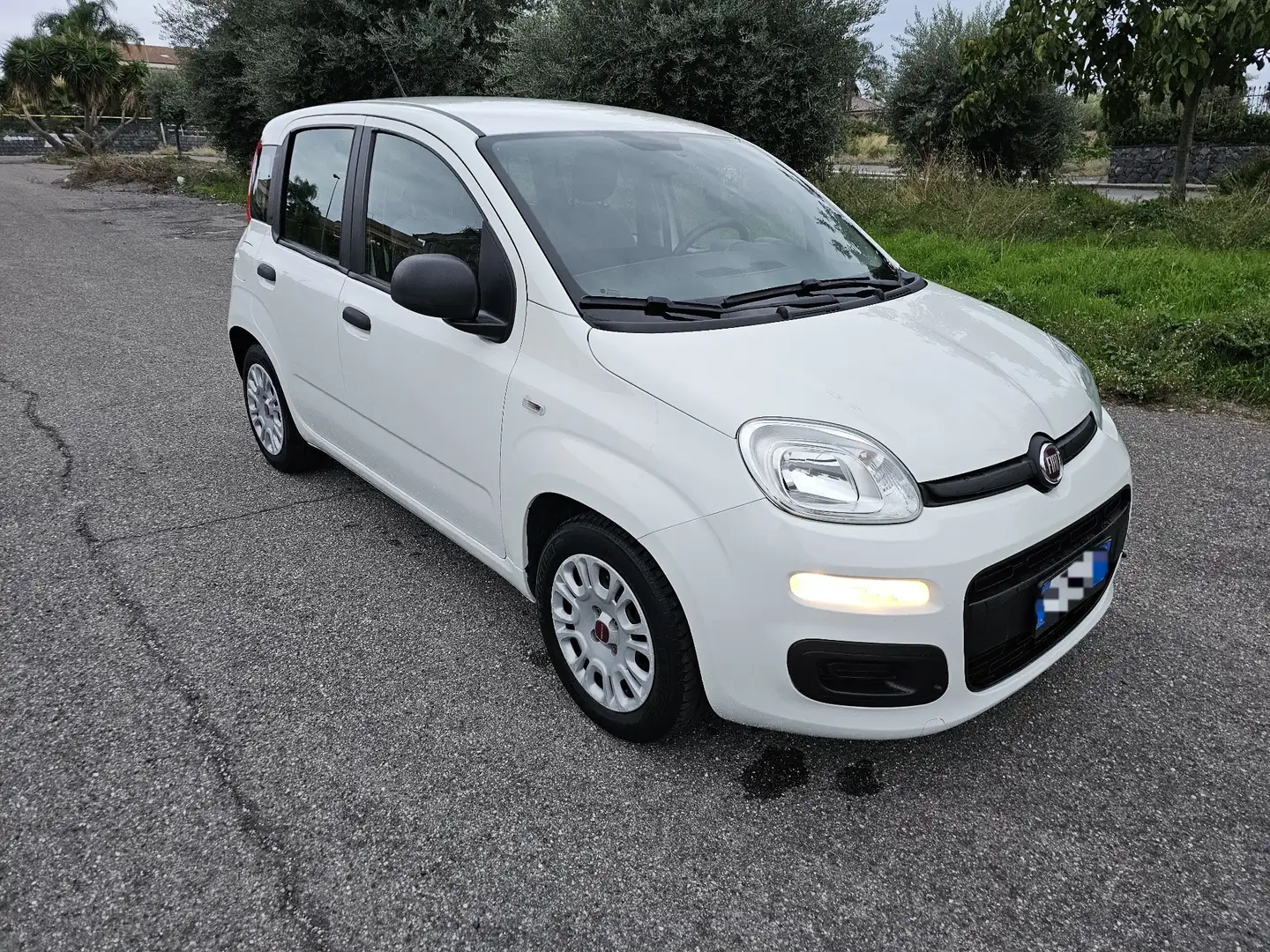 Fiat Panda 1.2 Easy Connect 69cv - 1