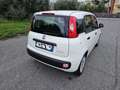 Fiat Panda 1.2 Easy Connect 69cv - thumbnail 2