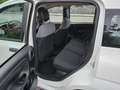 Fiat Panda 1.2 Easy Connect 69cv - thumbnail 9