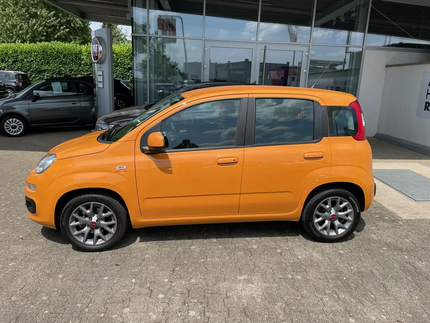 Fiat Panda Lounge 1.2 Arancione - 2