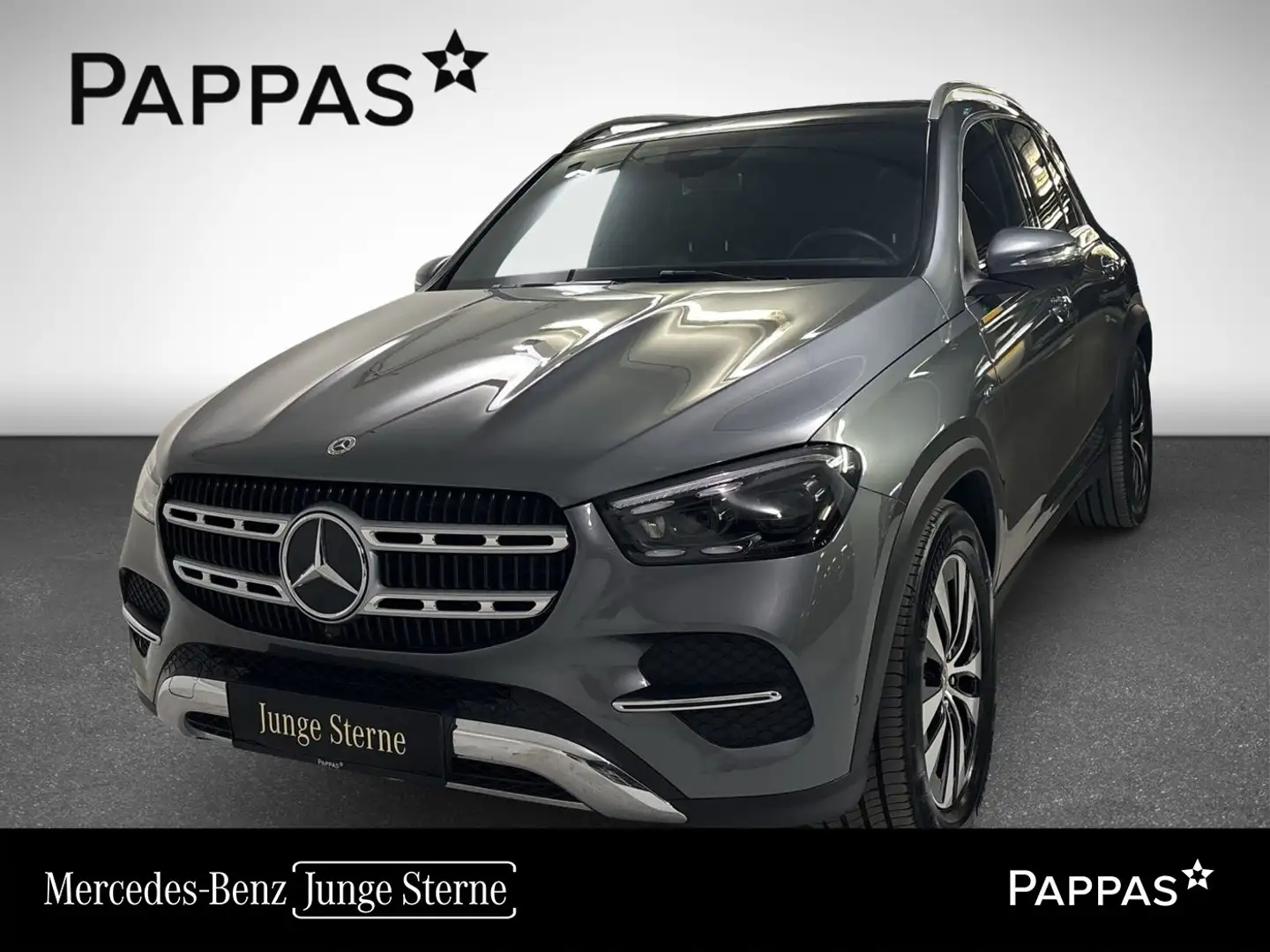 Mercedes-Benz GLE 350 de 4MATIC mit EQ Hybrid Technologie Navi Grau - 1