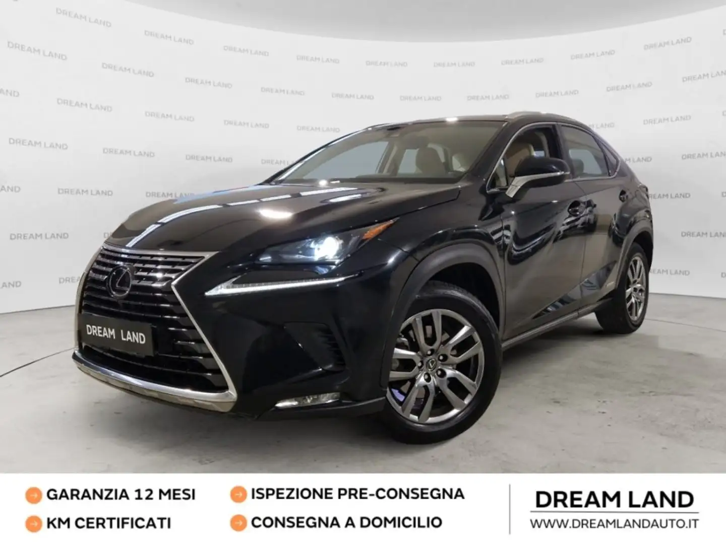 Lexus NX 300 Hybrid 4WD Executive UNICO PROPRIETARIO Nero - 1