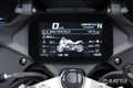 BMW R 1250 R Sport Abs my23 Blu/Azzurro - thumbnail 13