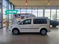 Volkswagen Caddy 1.6 TDI 102 CV 5p. Bianco - thumbnail 4