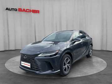 Business Plug-In 309 PS Allrad