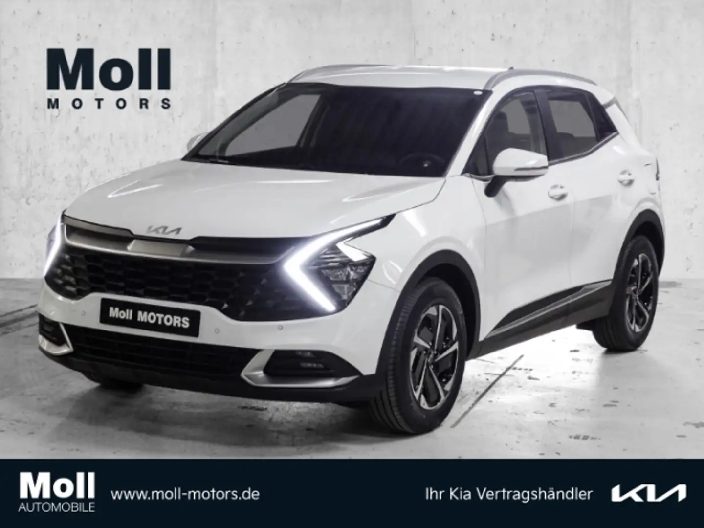 Kia Sportage 1.6CRDi 48V AWD 7-DCT Vision Komfort Navi Digitale Bianco - 1