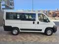 Fiat Ducato Combi 30 2.2Mjt Corto Blanco - thumbnail 6