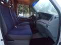 Iveco Daily 35c12 ribaltabile con gru Wit - thumbnail 6