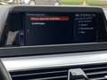 BMW 520 5-serie Touring 520i Executive Grau - thumbnail 34