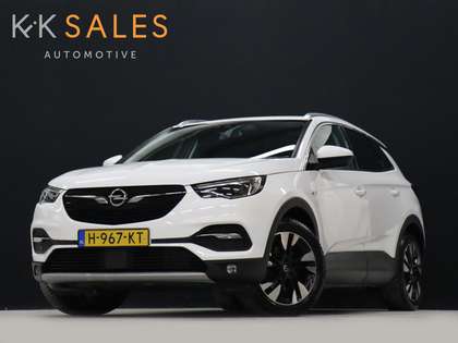 Opel Grandland X 1.2 Turbo Business Executive [TREKHAAK, APPLE CARP