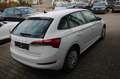 Skoda Scala 1.0 TSI Cool Plus Parktronic Sitzheizung Sitzheizu Weiß - thumbnail 6